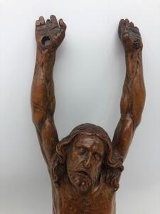 Antique palm wood sculpted corpus 