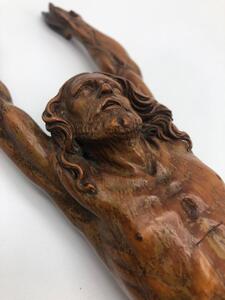 Antique palm wood sculpted corpus 