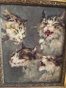 Rare cat portrait oil on canvas 