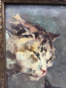 Rare cat portrait oil on canvas 