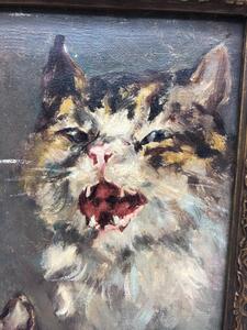 Rare cat portrait oil on canvas 