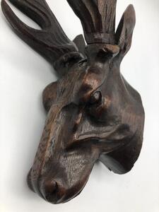 Antique carved Black Forest mounted deer head 