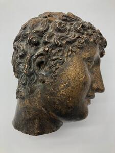 Antique Roman style terracotta head of Antinous