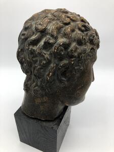 Antique Roman style terracotta head of Antinous