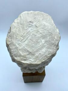 Diadumenos statue after a Roman marble head 