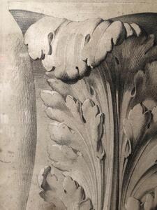 Antique pencil drawing on an acanthus leaf ornament 