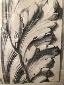 Antique pencil drawing on an acanthus leaf ornament 