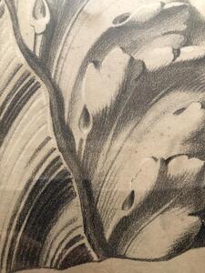 Antique pencil drawing on an acanthus leaf ornament 