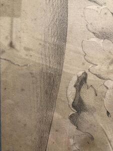 Antique pencil drawing on an acanthus leaf ornament 